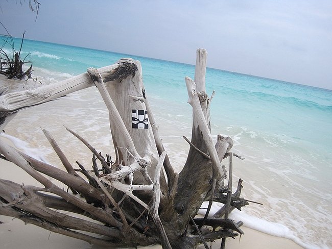 Zmogk@Cayo Largo