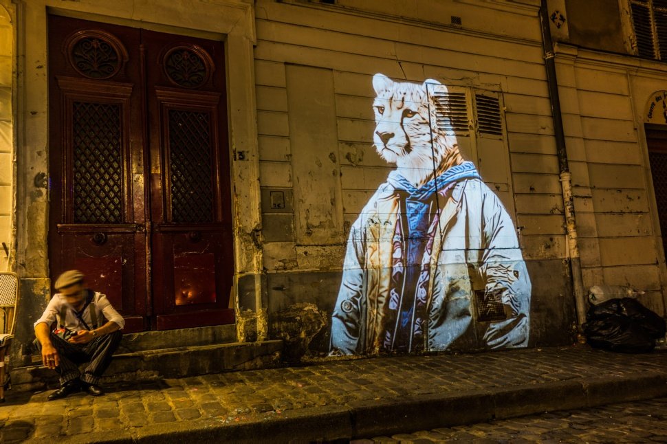 Городское сафари на улицах Парижа